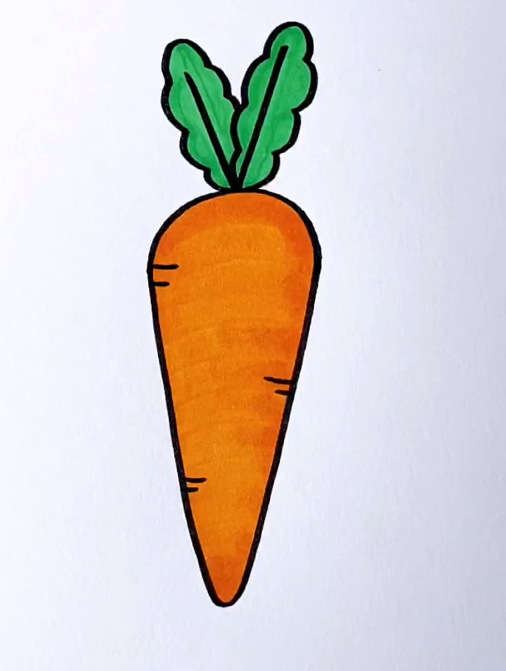 胡萝卜的种子简笔画图片