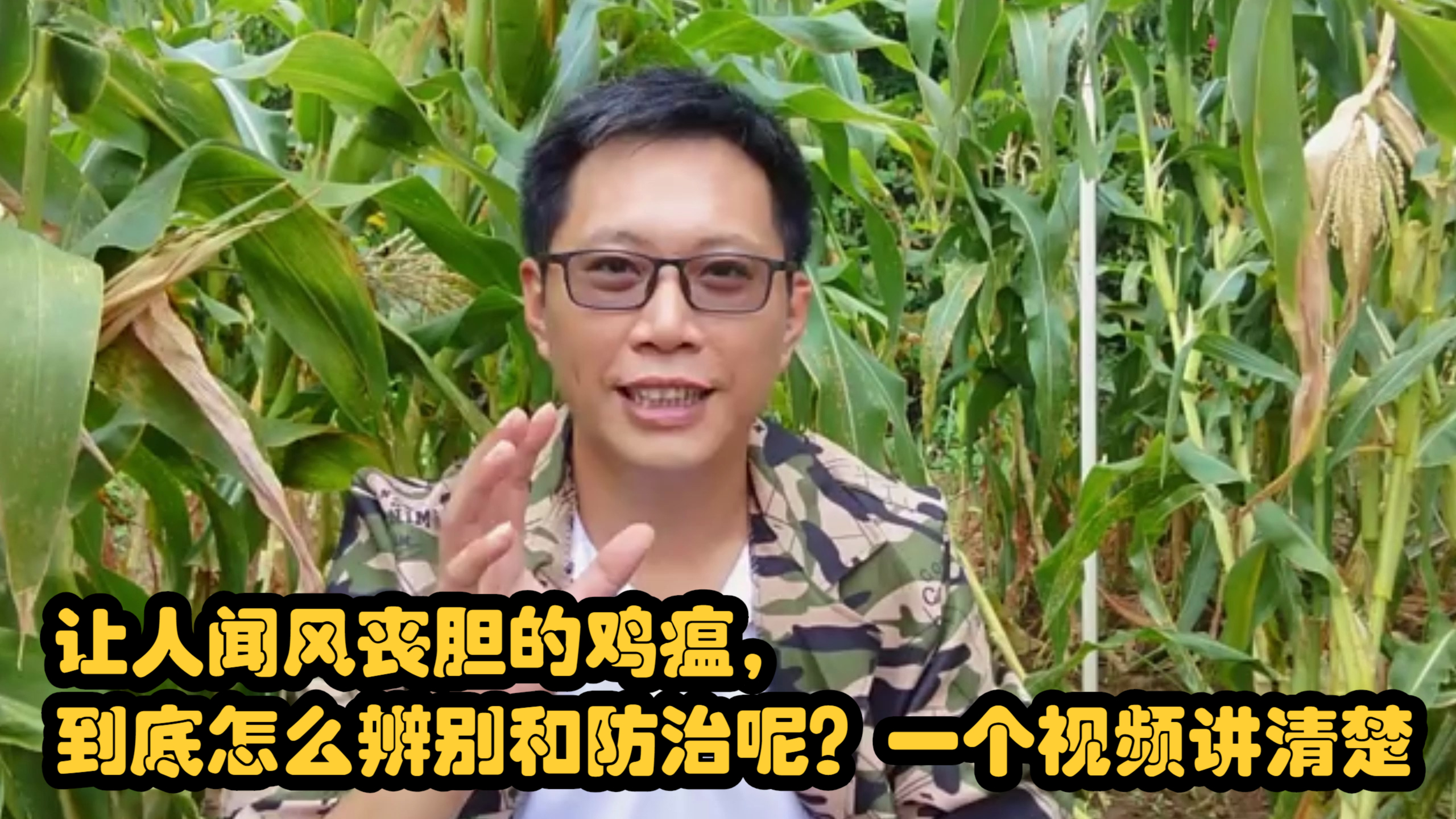 让人闻风丧胆的鸡瘟,到底怎么辨别和防治呢?一个视频讲清楚