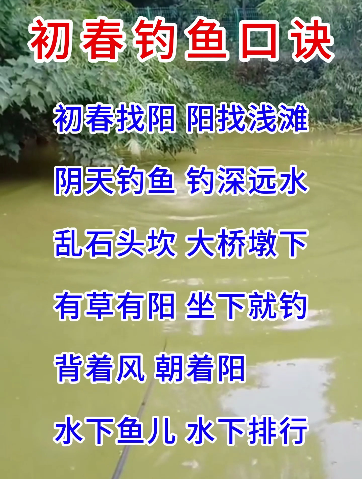 初春钓鱼口诀来了!不看吃亏!
