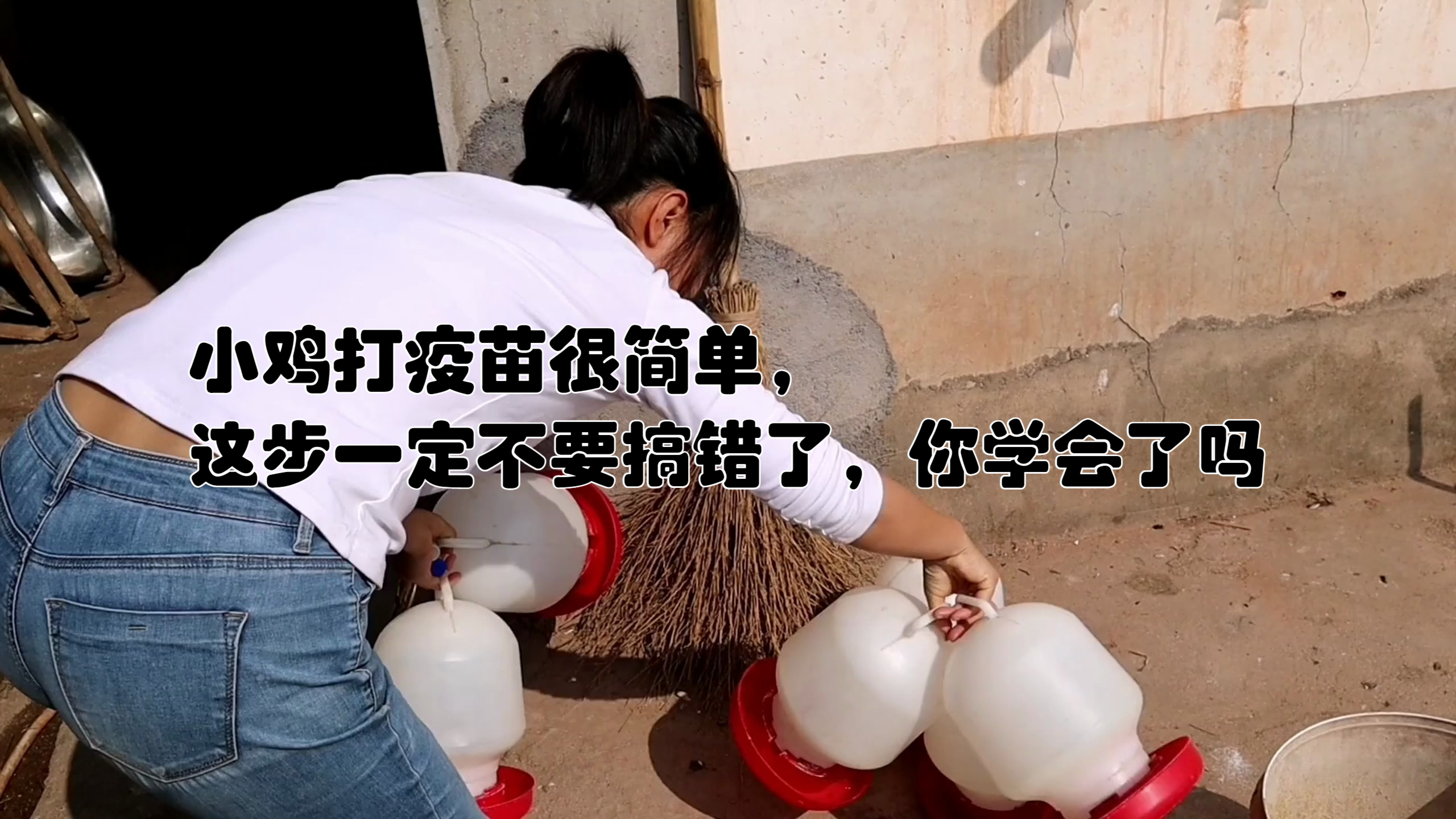 小鸡打疫苗很简单,这步一定不要搞错了,你学会了吗
