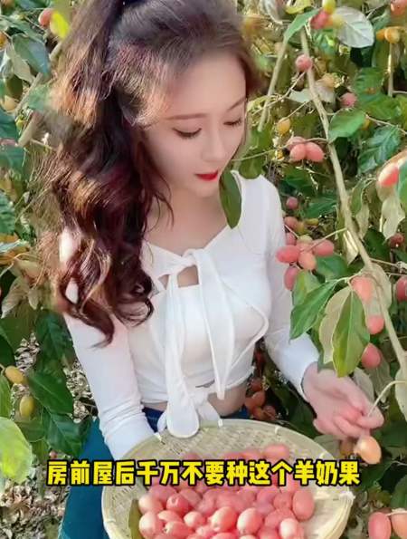 我国发现:常吃防癌第一果,增寿15年,被证实有效-度小视