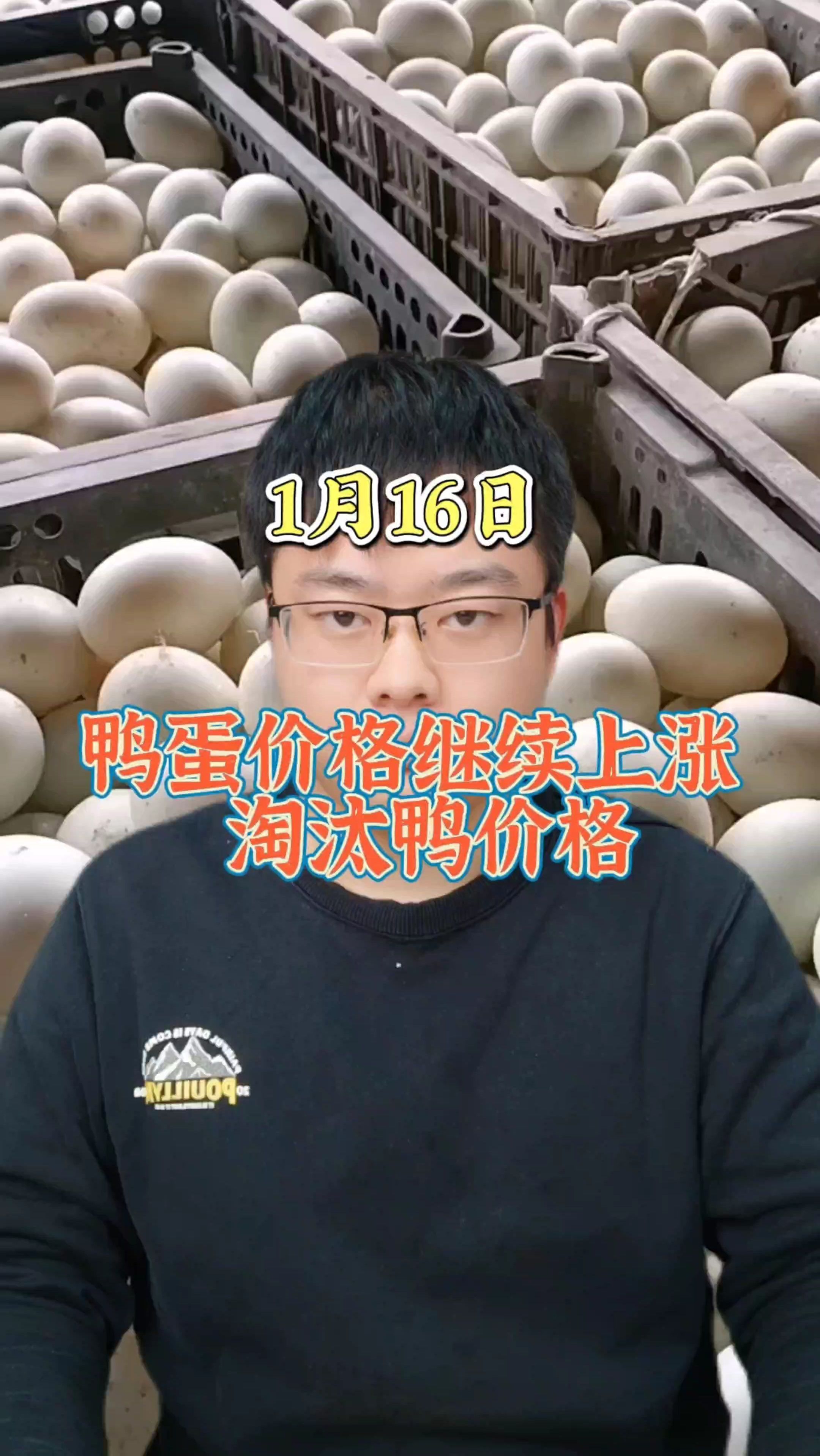 鸭蛋价格今日价格 鸭蛋价格最新行情 鸭蛋价格今日价全国行情-度小视