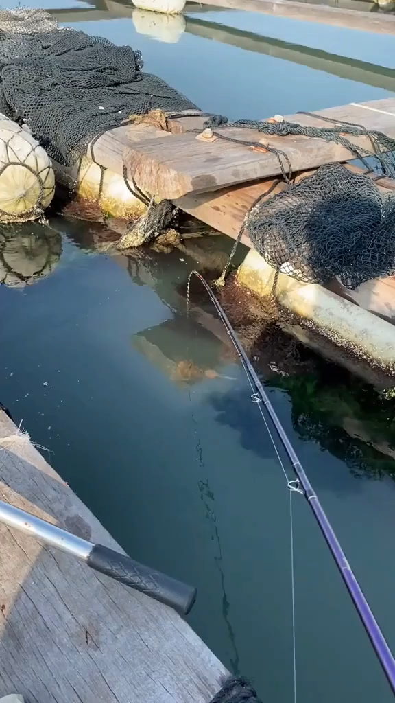 鱼排筏钓鲈鱼,追上水面咬饵全过程-度小视