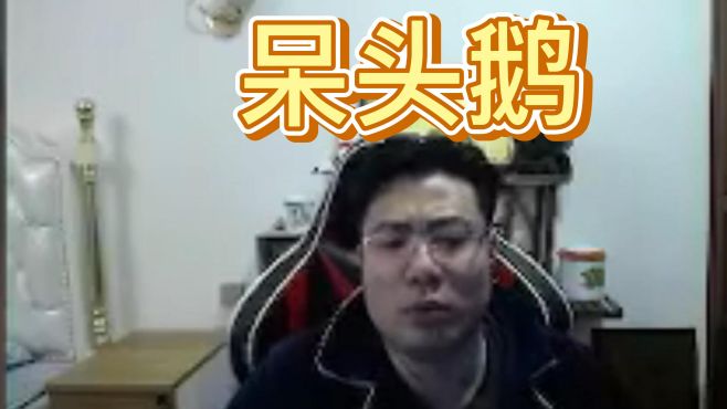 这期的呆头鹅非常的呆!错过一秒都会留有遗憾