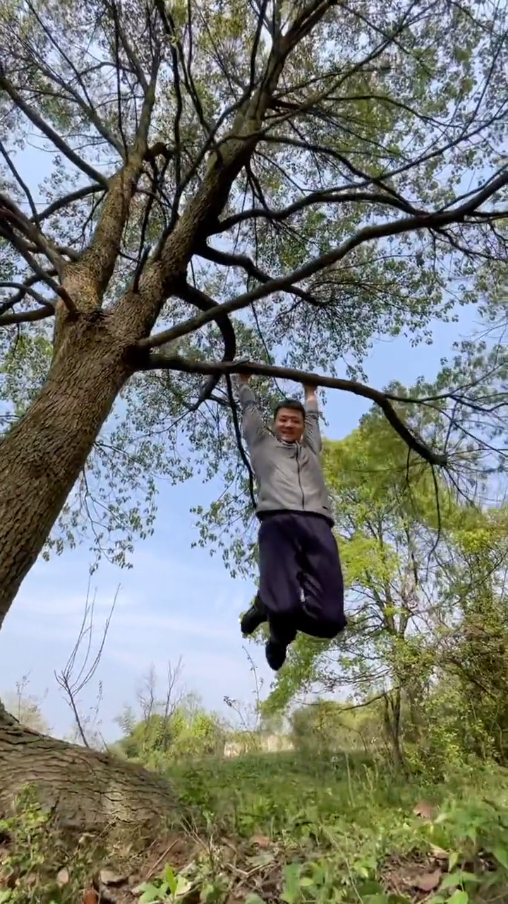 倒挂在树上,功夫艺人小伙腹肌日常训练