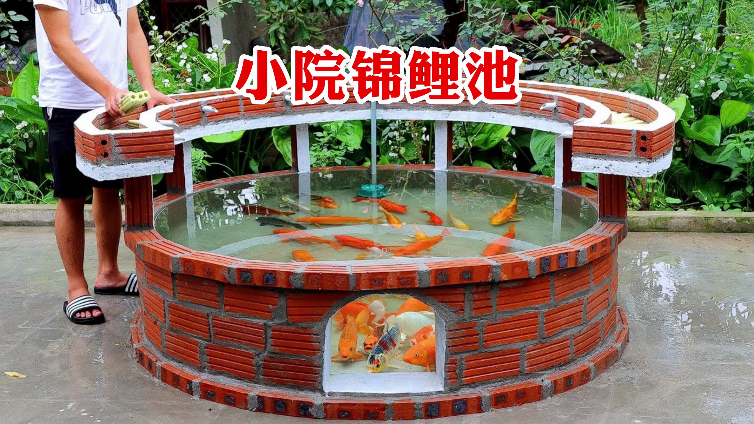 真的是天才,小伙在院子里打造了一款别具一格的锦鲤池