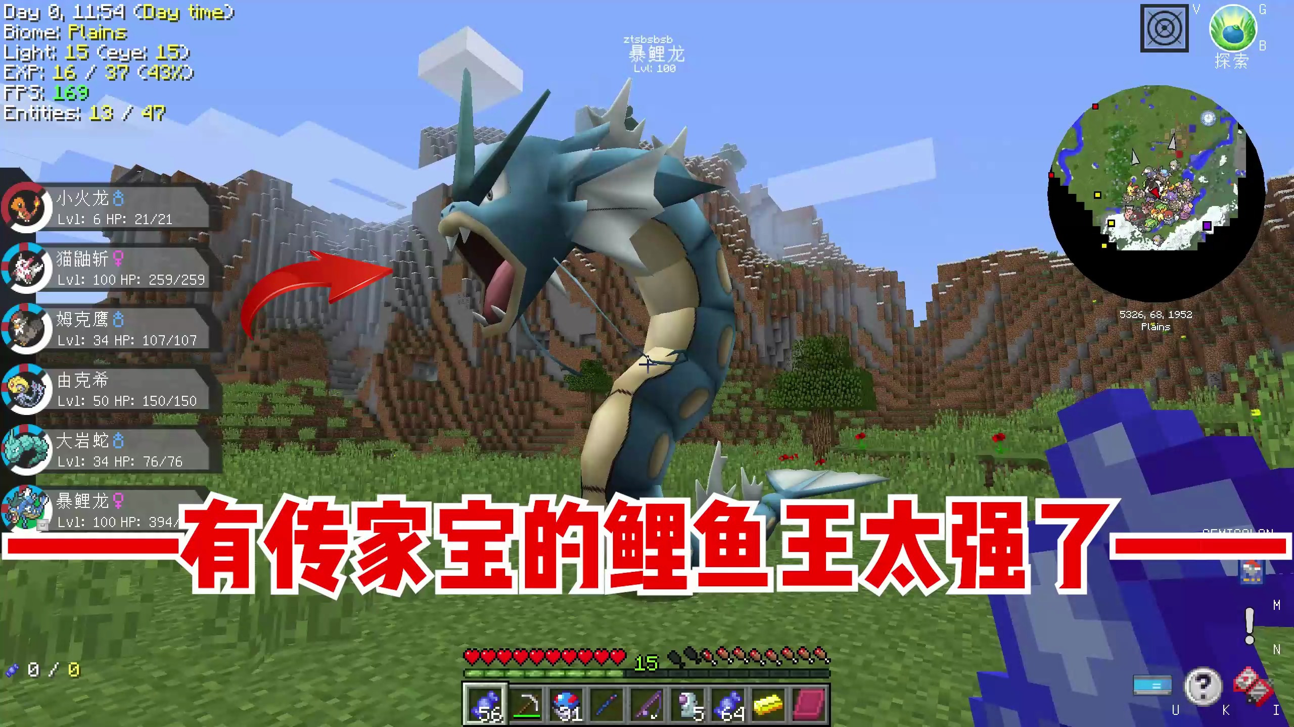 我的世界朱紫宝可梦6：有传家宝的鲤鱼王太强了！