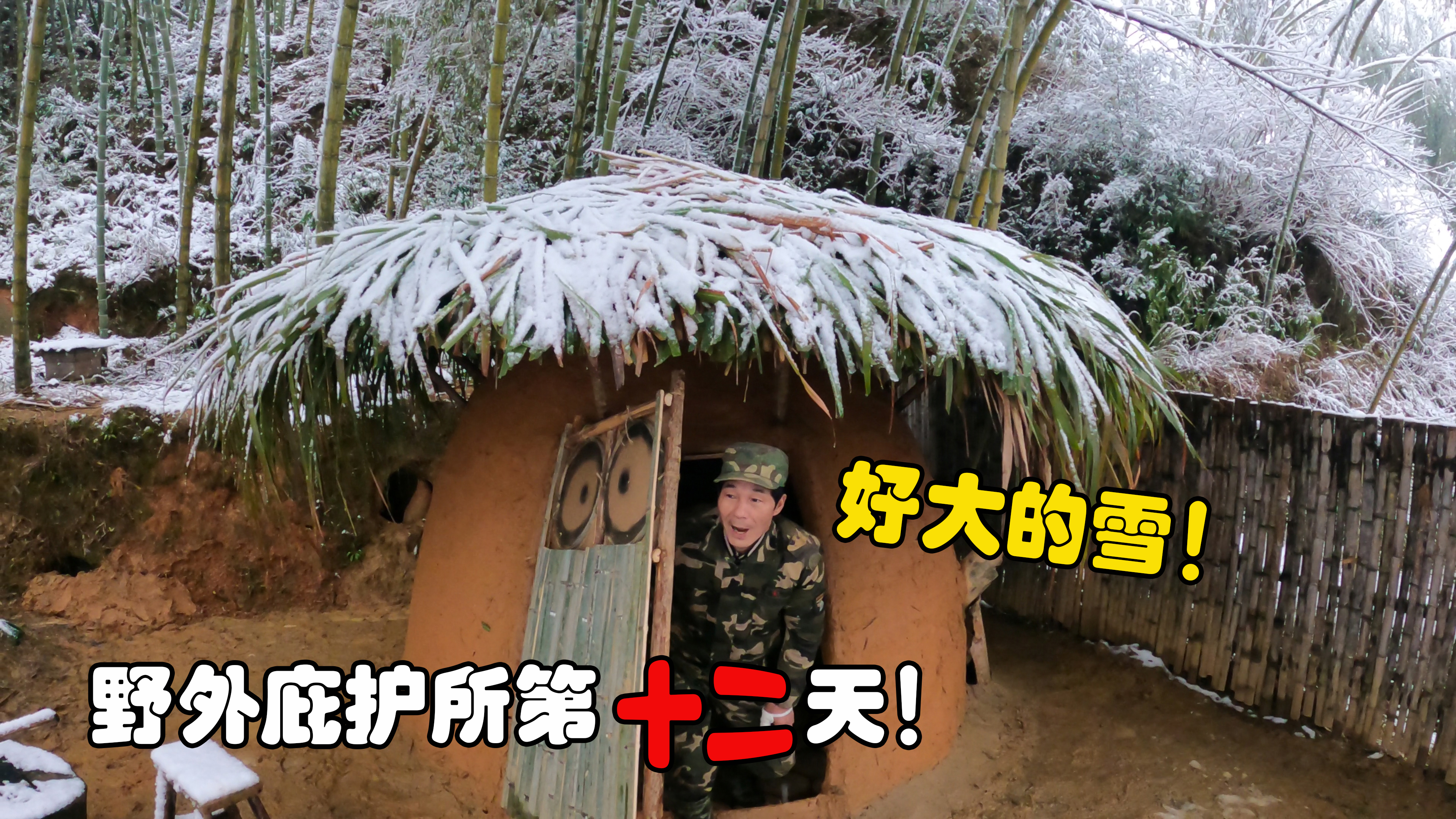 [图]野外庇护所第十二天!半夜突下大雪,庇护所屋顶险些被压塌