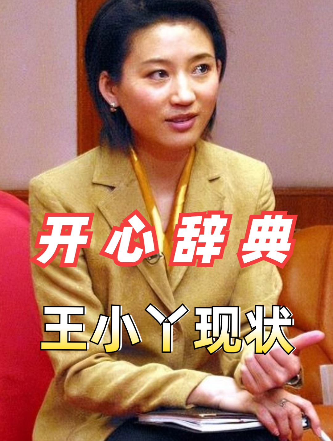 开心辞典24年后,巅峰时超越董卿,二婚皆无子的王小丫怎样了?