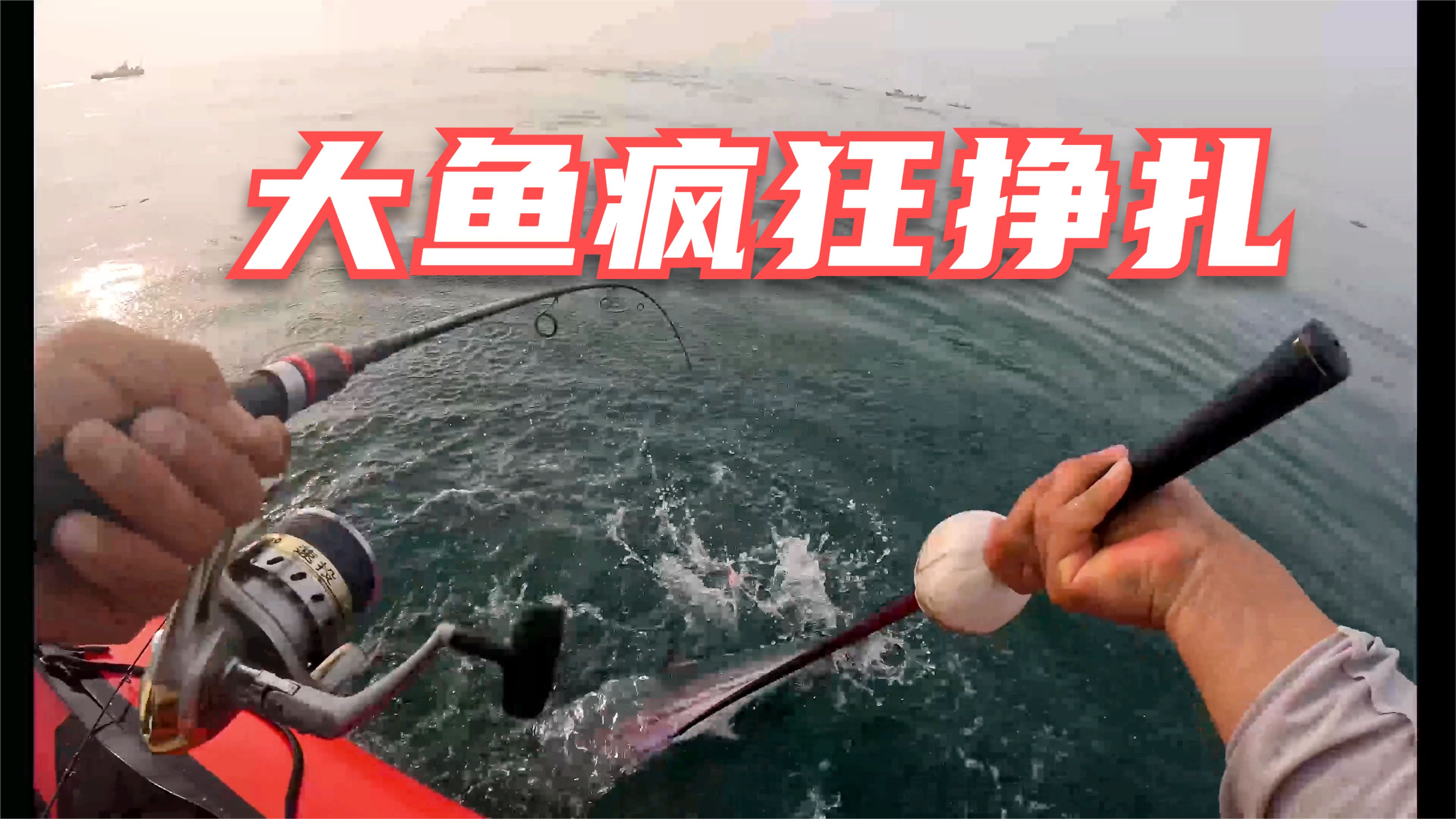 大鱼突然咬钩拉着鱼竿吱吱响,大鱼疯狂挣扎跑到水面,海钓太过瘾