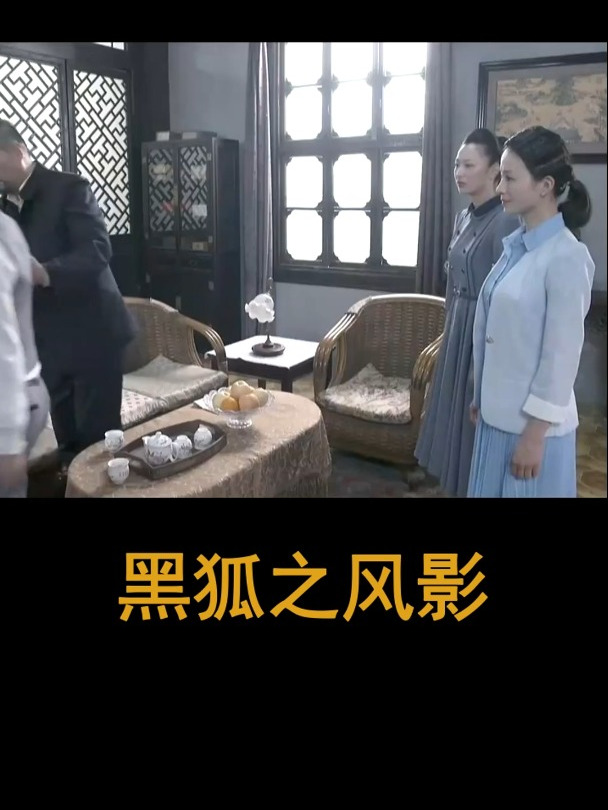 黑狐之风影:周会长再遭变故