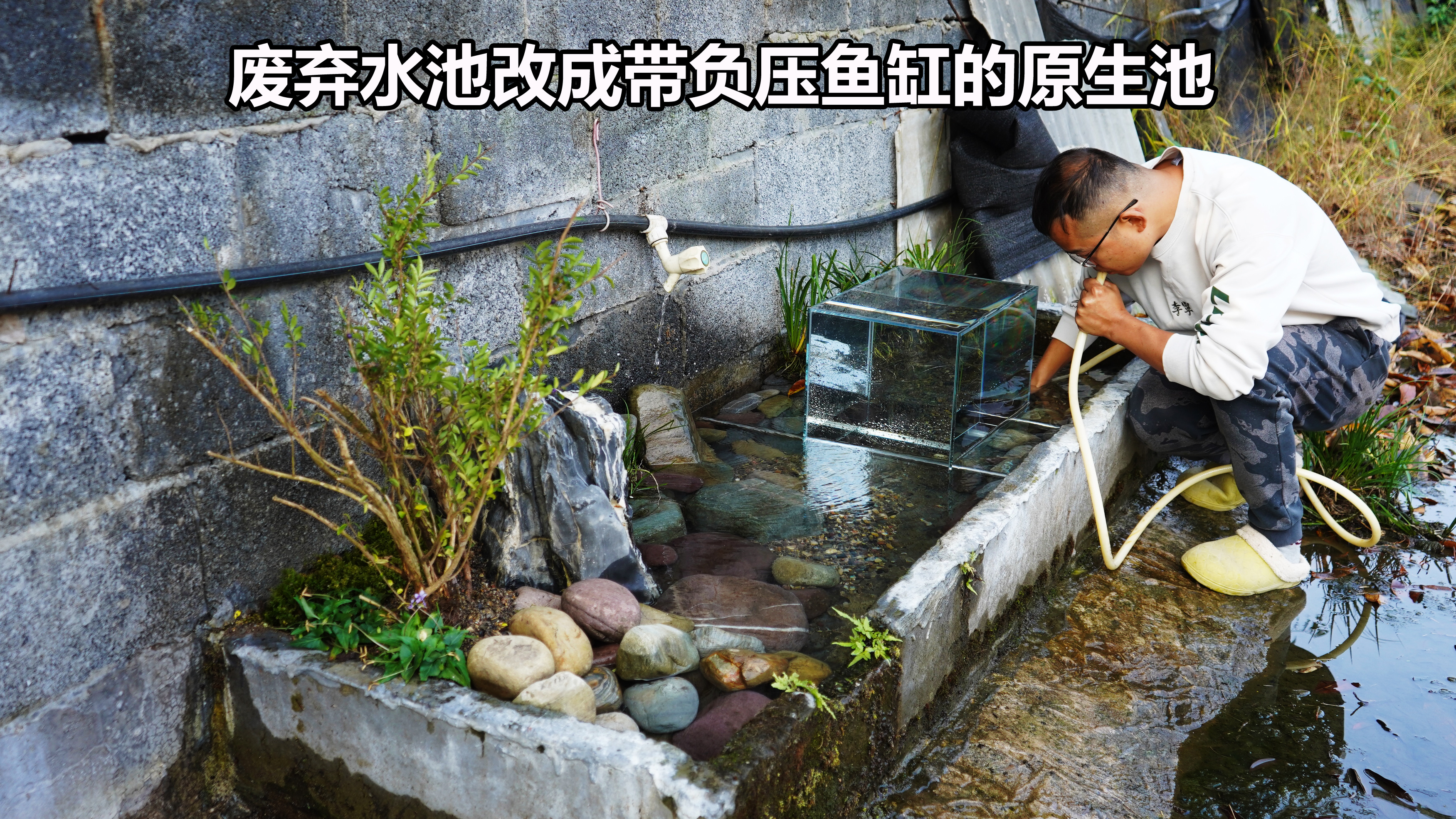 改造废旧水池，做个带有负压鱼缸的原生池，成品效果出乎预料