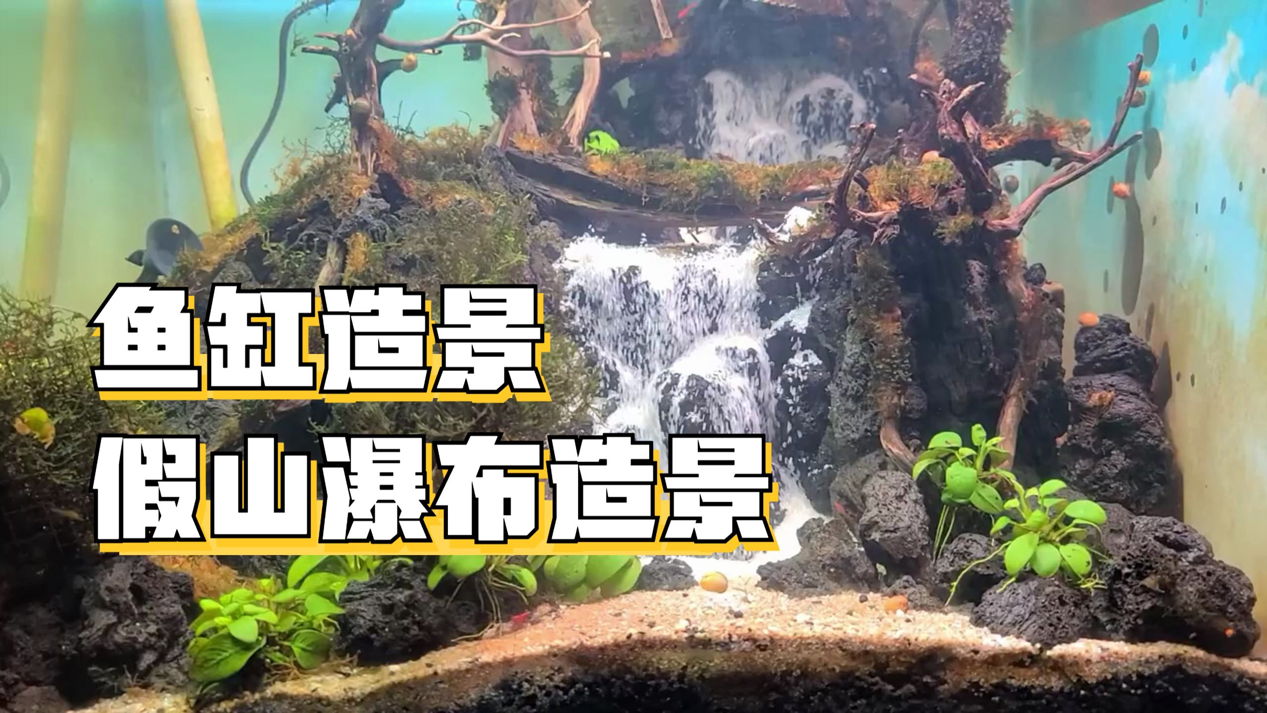 和谐水景:如何在鱼缸中再现瀑布的壮丽景象