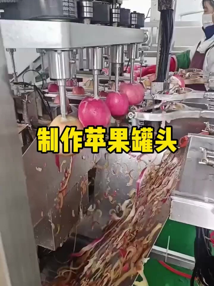 原来这就是制作苹果罐头的流水线工厂