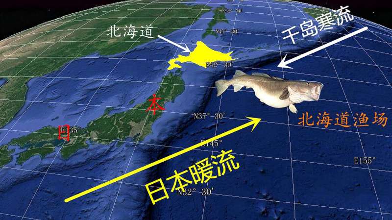 世界第一大渔场如何形成的细看日本北海道渔场原来位置这么好