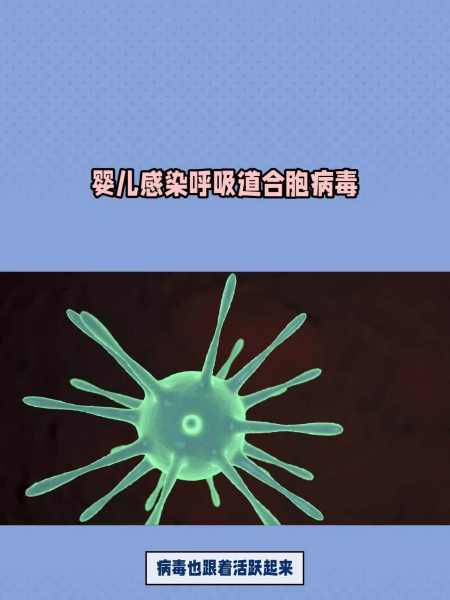 婴儿感染呼吸道合胞病毒高发-度小视