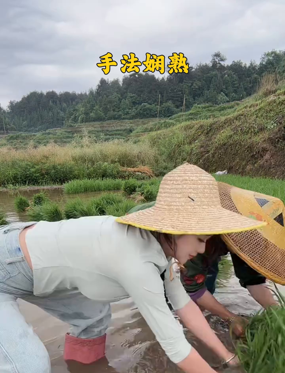 田间劳作真女神!草帽雨靴插秧忙,泥水飞溅笑开颜,勤劳美女谁不爱?