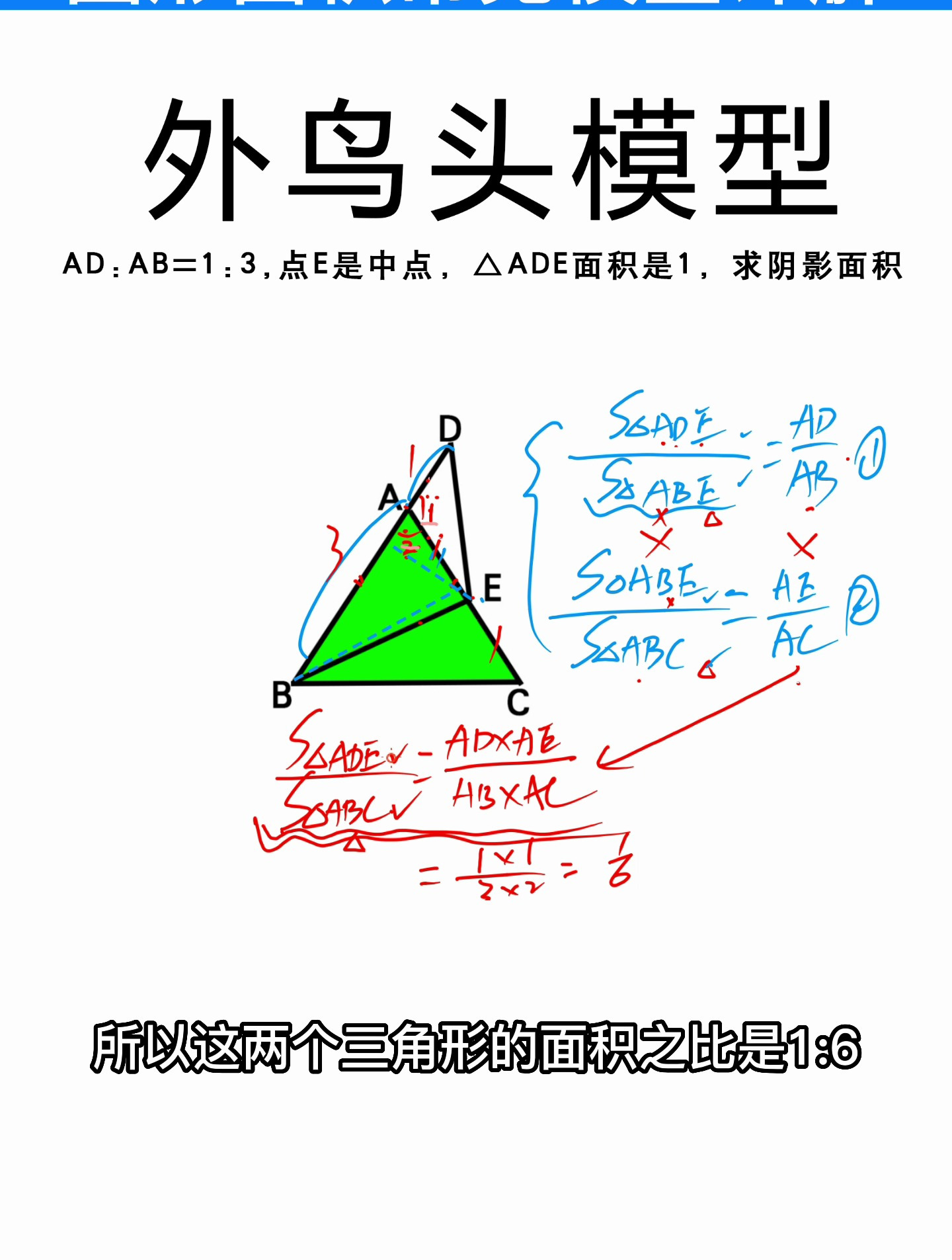 鸟头模型课件图片