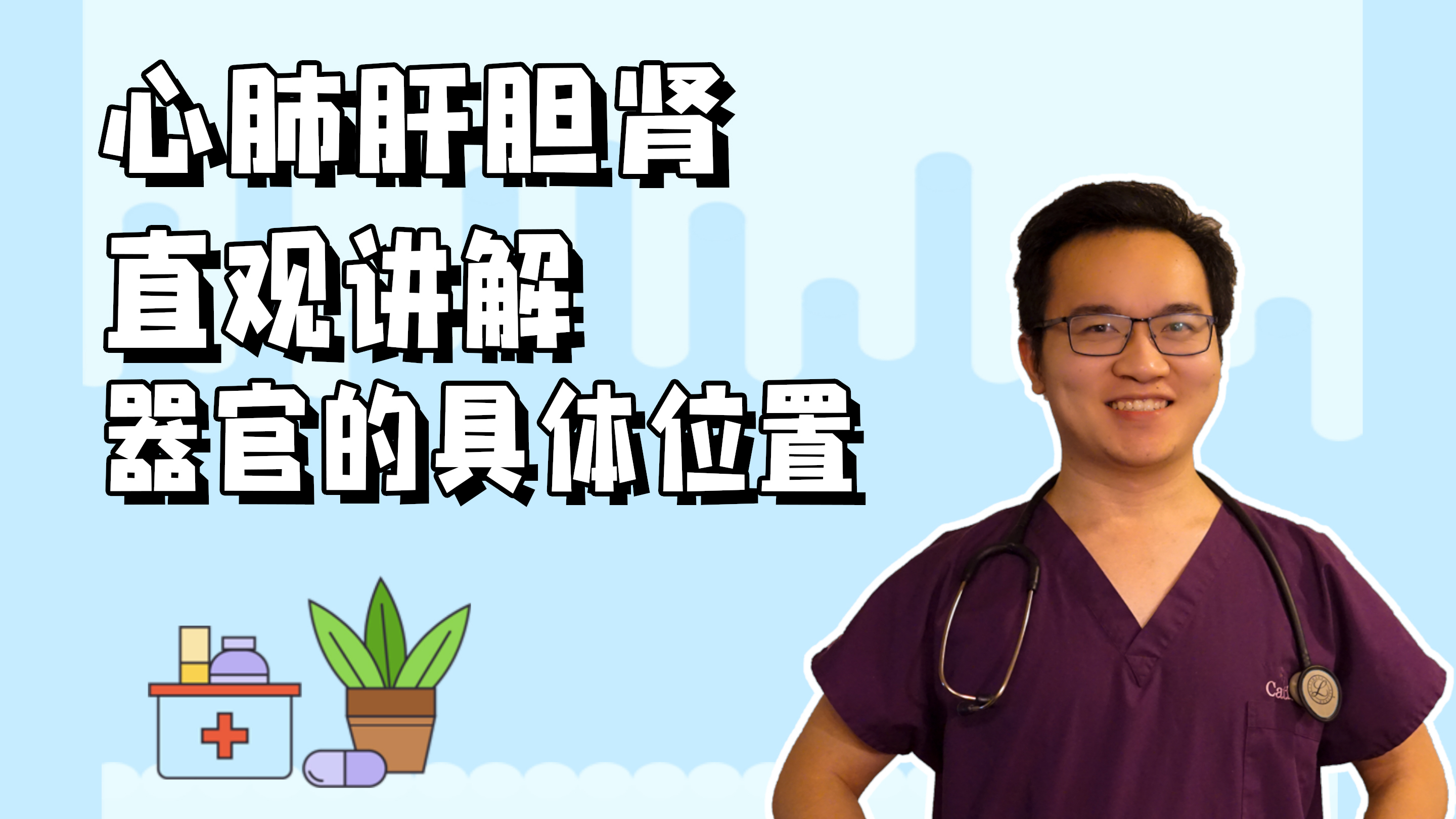 你知道人体有哪些器官，又分别都在哪里吗？