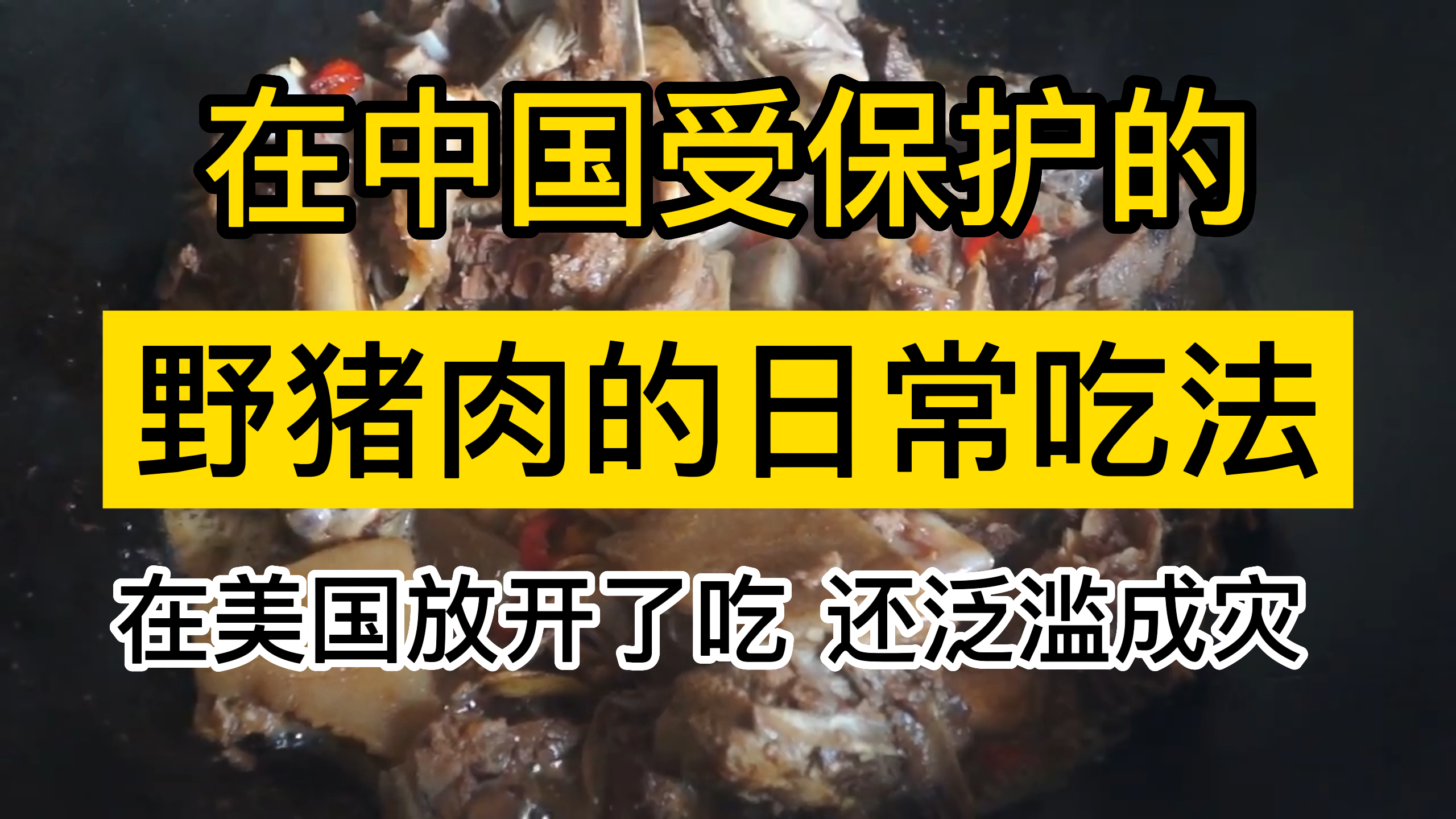 在中国受保护的野猪在美国放开了吃,都泛滥成灾了,他们不会吃
