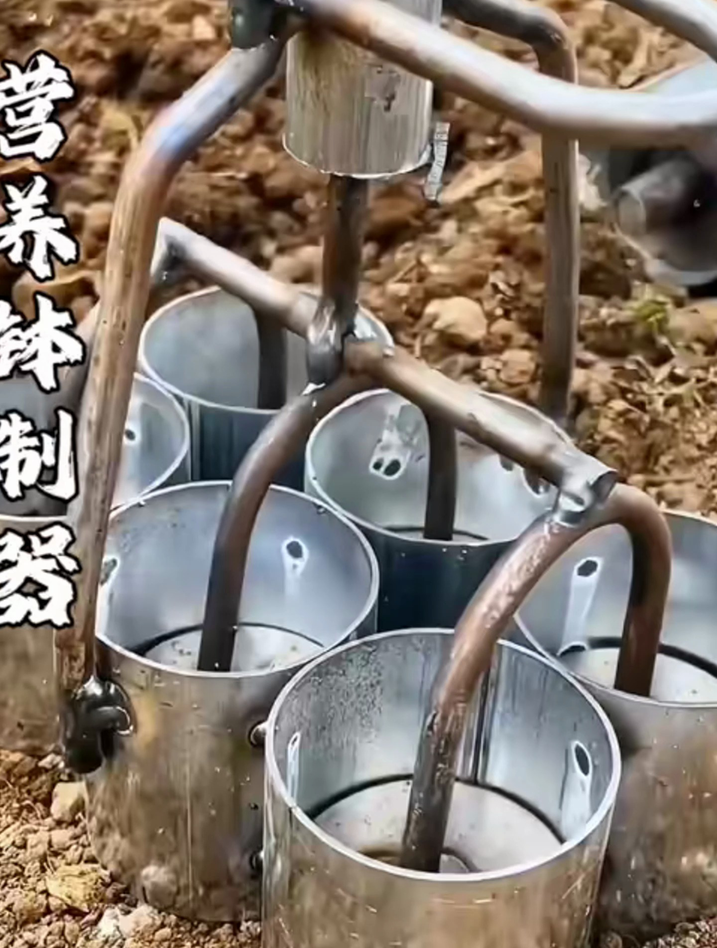 山东小伙发明的营养钵制器,可以给各种作物育苗,提高成活率