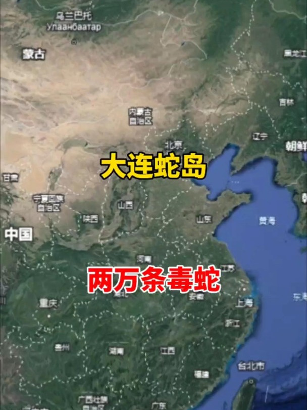 大连蛇岛探秘:2万条毒蛇是从哪里来的?