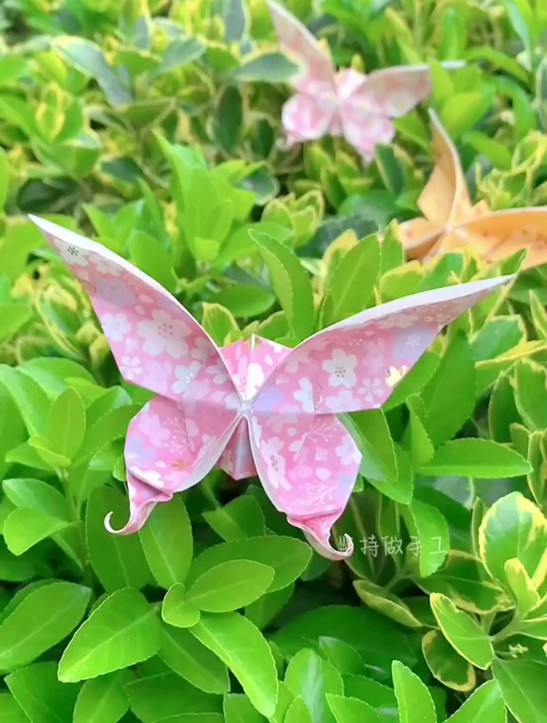 这个折纸凤尾蝶真的太太太好看了,看到的还不赶快去折