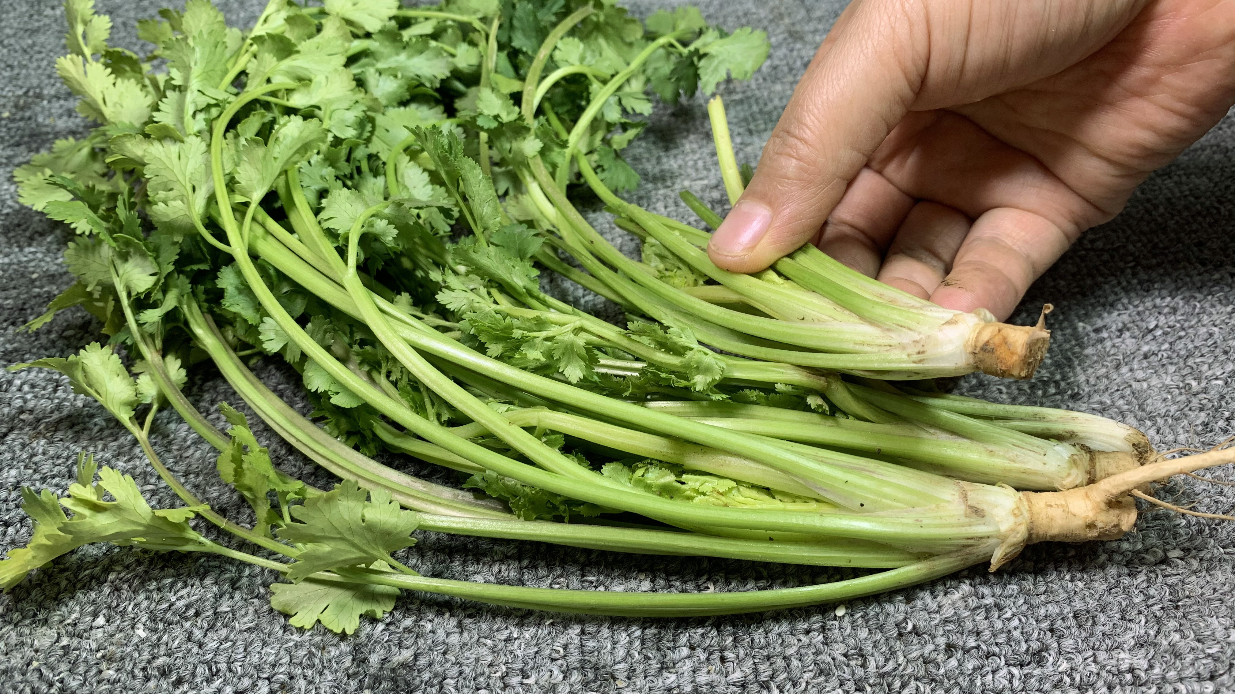 夜里翻来覆去睡不安稳,用几根香菜这样做,轻松解决,方法很实用