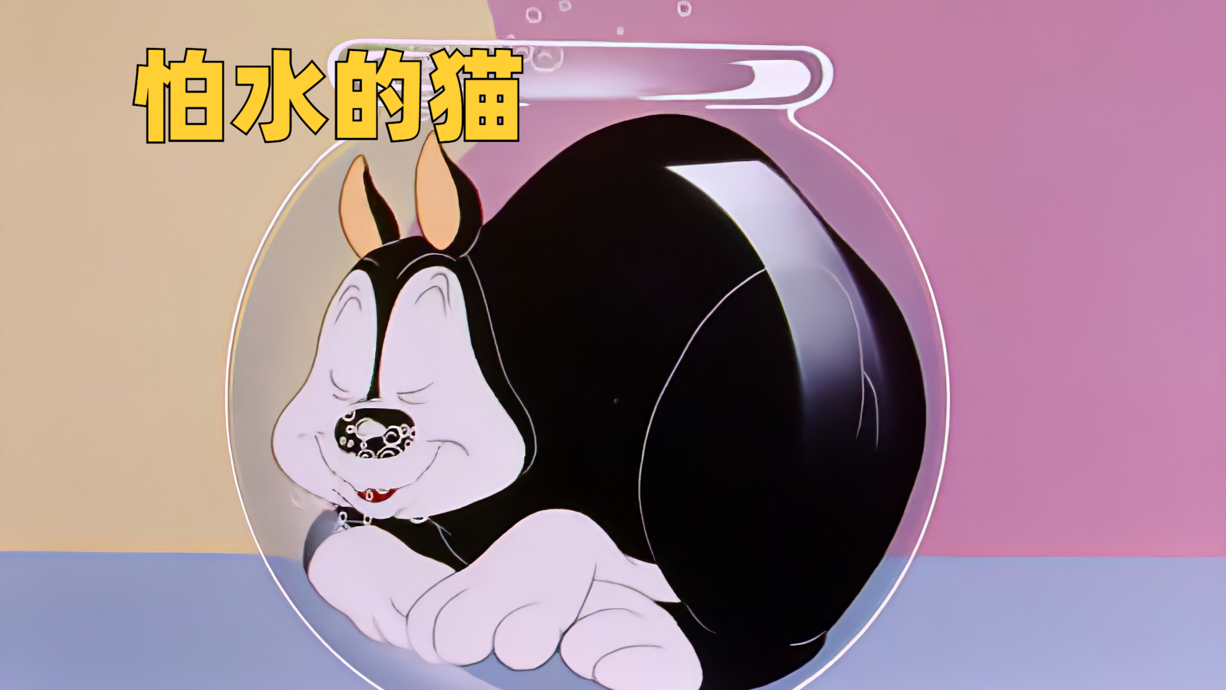 黑猫想吃鱼,但又特别怕水,最后竟霸占鱼缸,让金鱼无家可归
