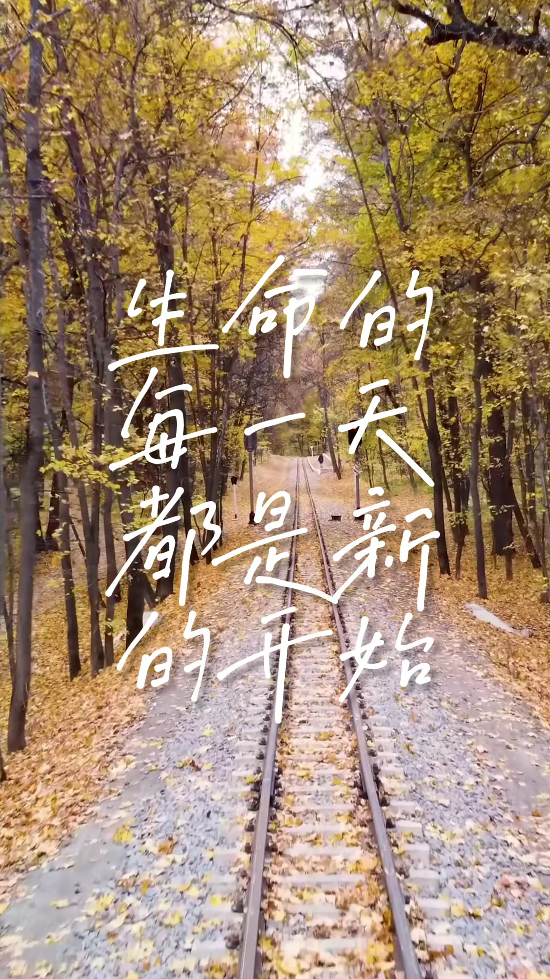 生命的每一天都是新的开始,无论过去如何,都要抬头挺胸迎接挑战