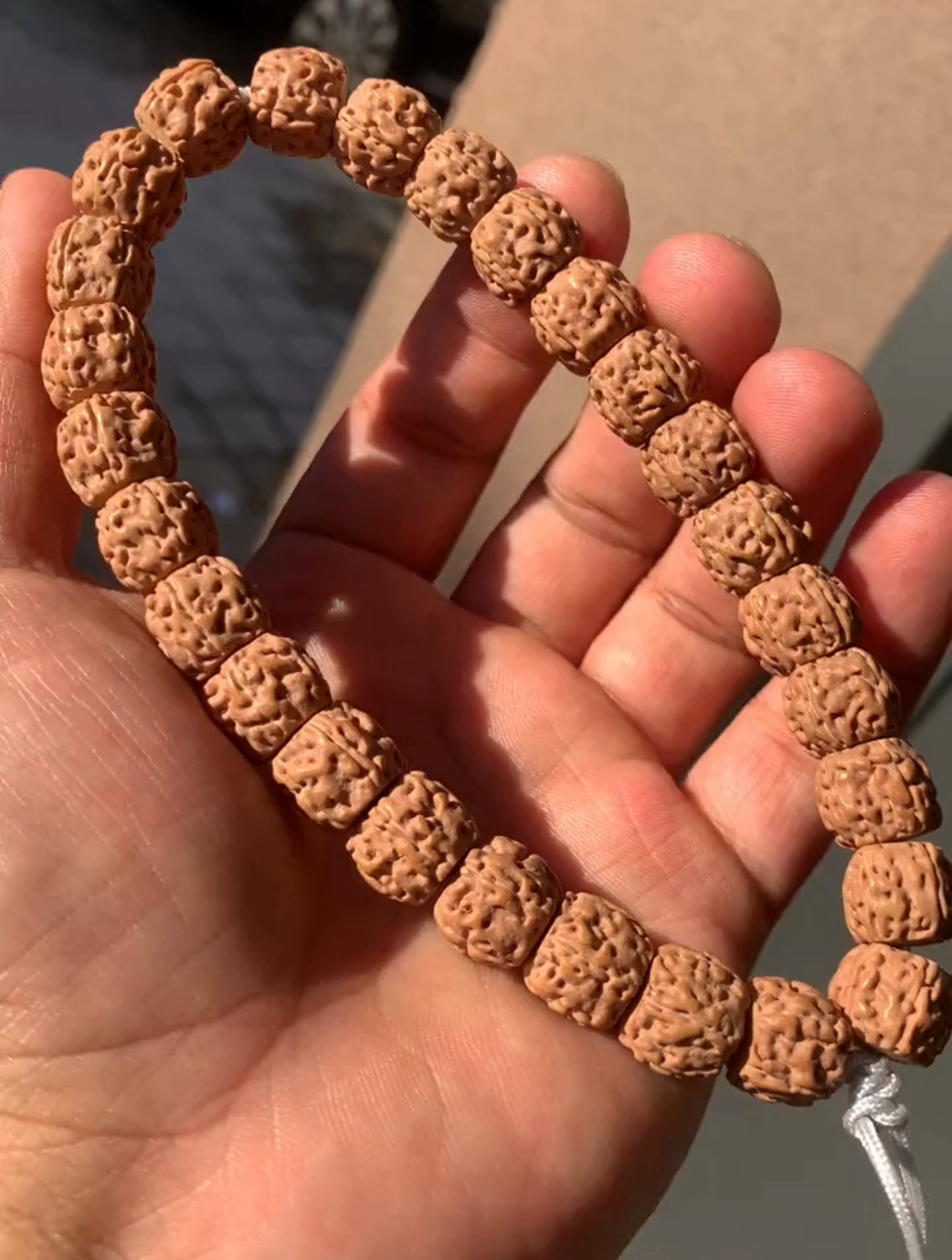 海龙金刚心选,单圈小金刚菩提,而且纹路还这么饱满