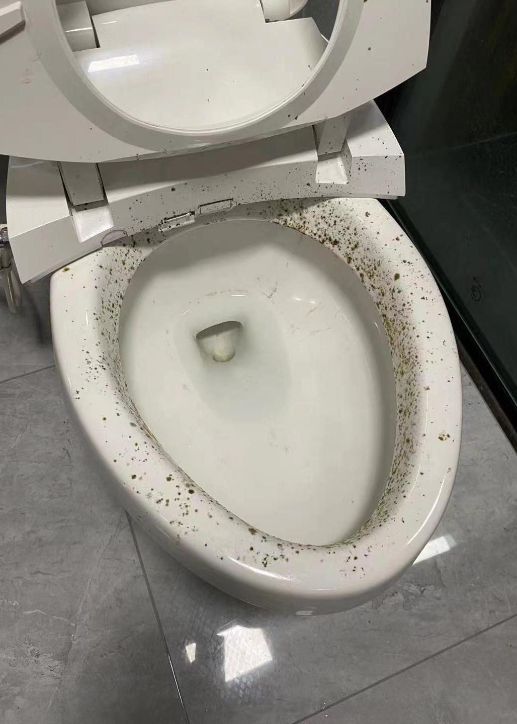 马桶发霉的未解之谜!