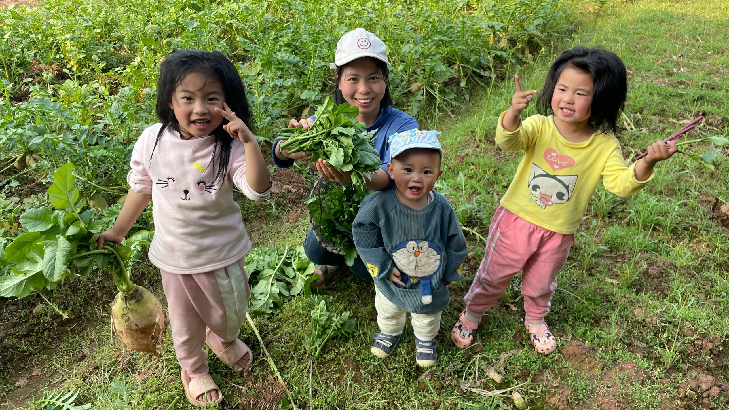 小秀带孩子去田野摘菜,新鲜好吃的萝卜菜,小朋友们玩得很开心
