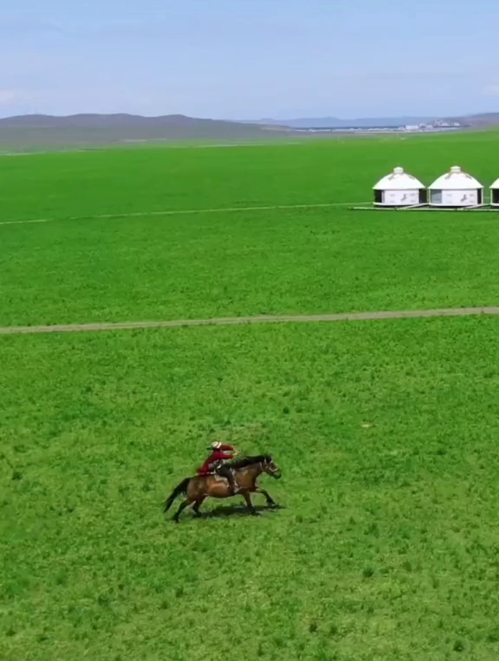 我想做一只雄鹰飞翔在蓝天我想做一匹骏马奔驰在草原洒脱自在