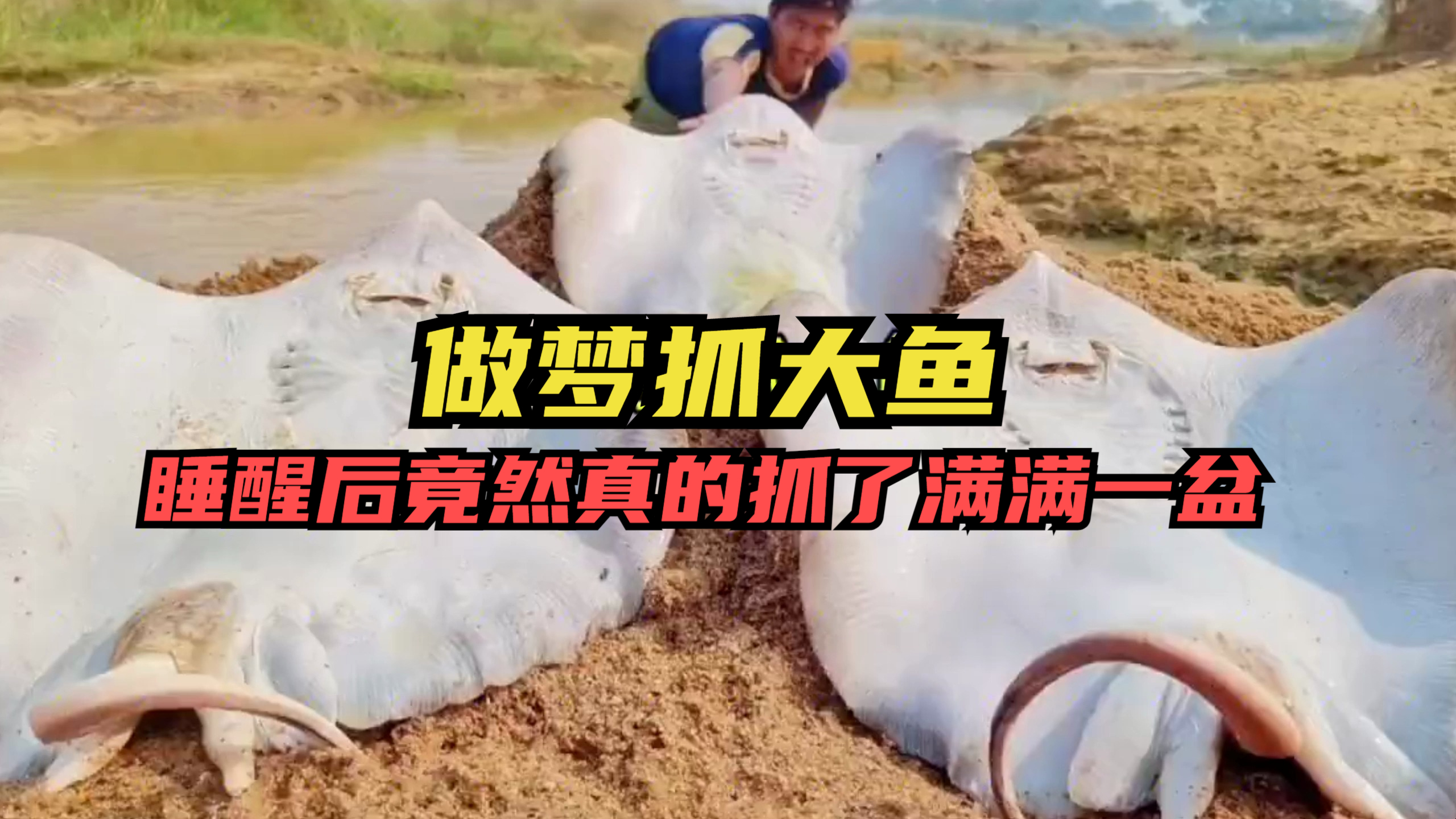 做梦抓大鱼?小伙在河边做了一个梦,醒来后竟真的抓了几条大鱼