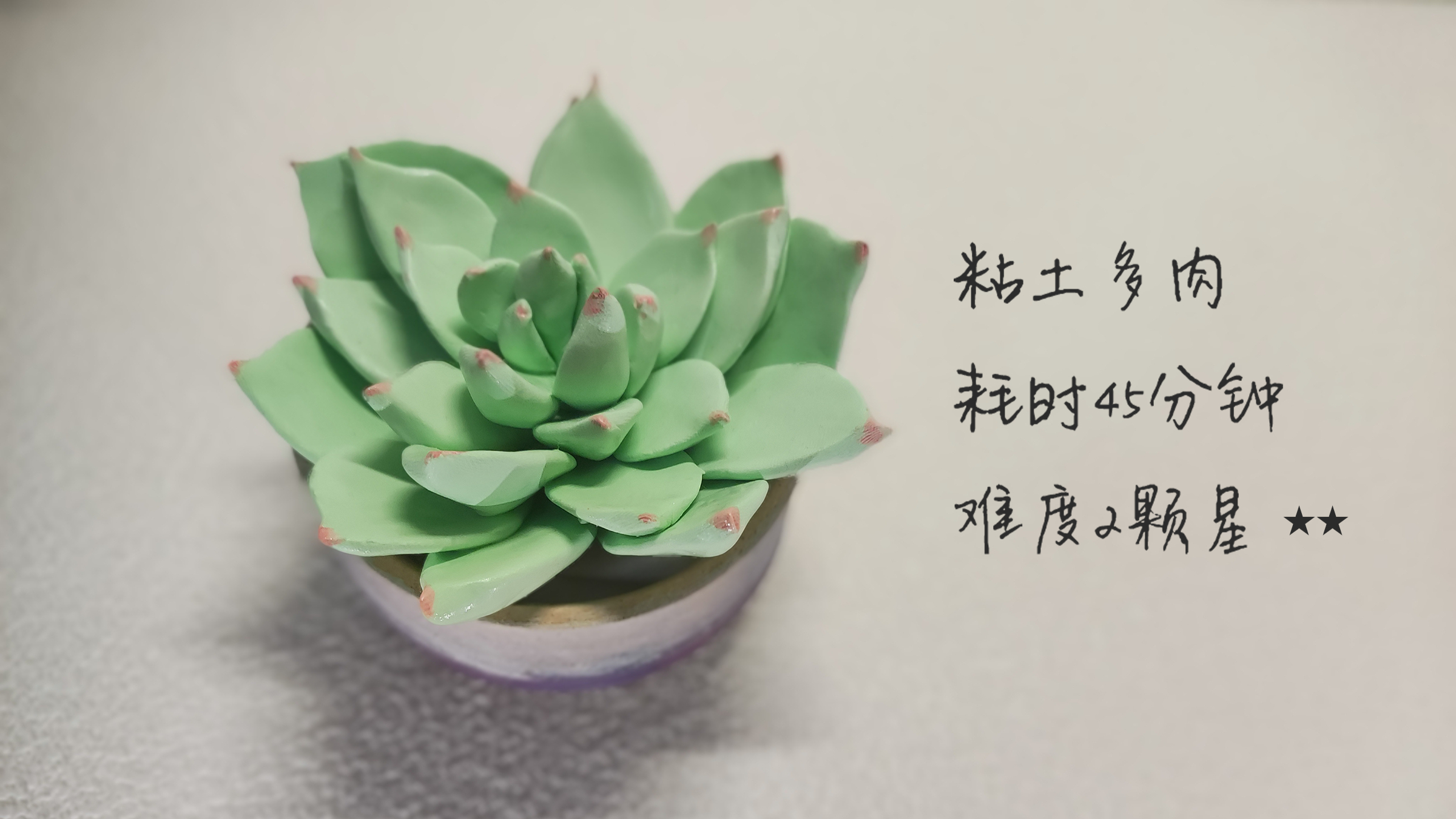 用轻质粘土做一个永远不会枯萎的粘土多肉吧!