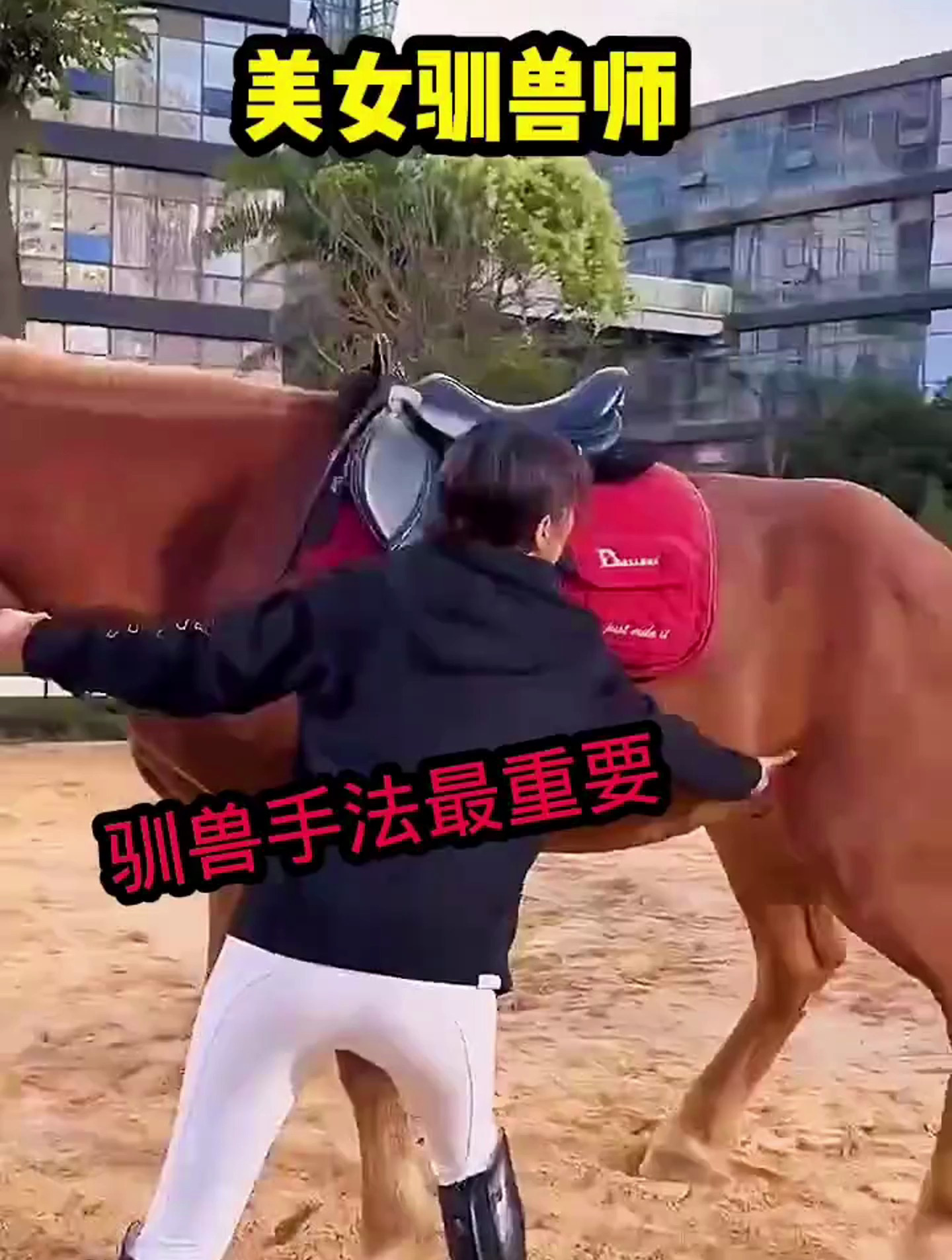 美女驯兽师,驯兽手法最重要