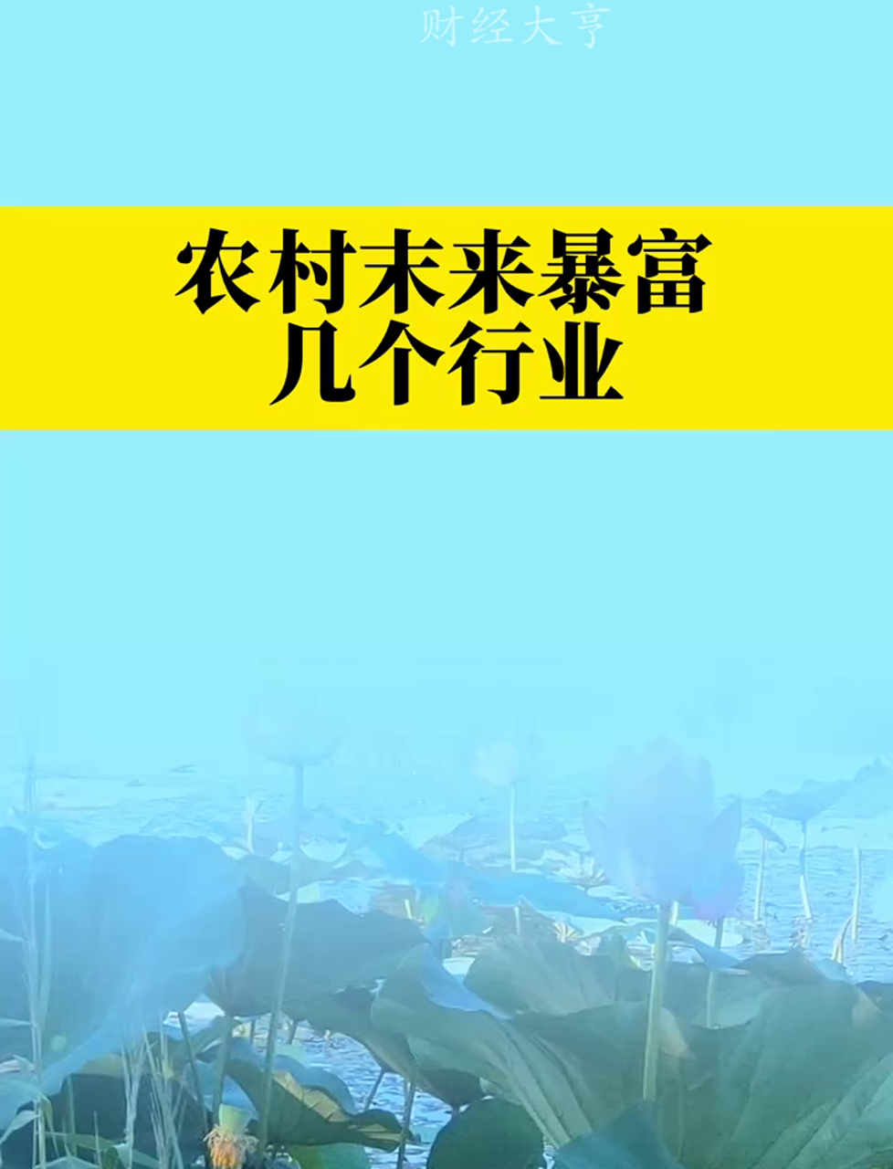 农村致富项目大全免费(农村致富的一些项目,你都知道哪些呢)