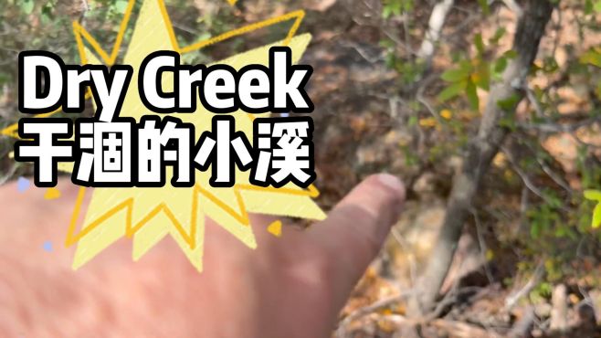 [图]dry creek干涸的小溪