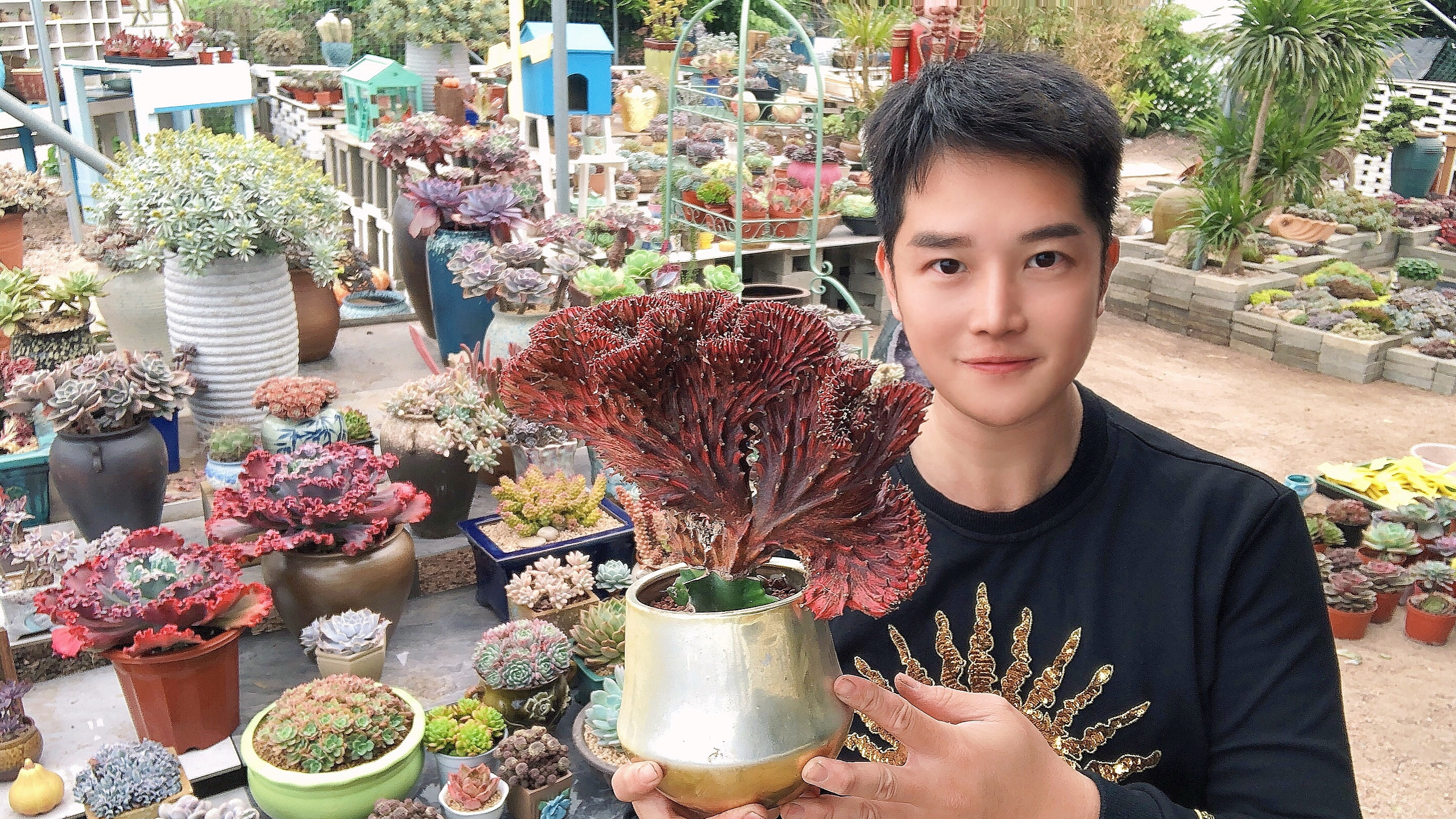 冬天多肉不会生长吗?要浇水吗?正确的方法告诉你!