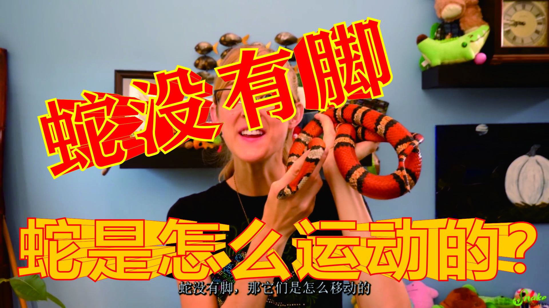 蛇没有脚是如何行动的?蛇的运动方式有哪些?一些有趣的冷知识