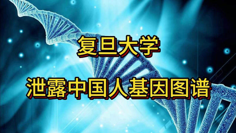 复旦大学泄露中国人基因图谱的背后危害:中国人遗传资源安全堪忧,科学,生命科学,好看视频