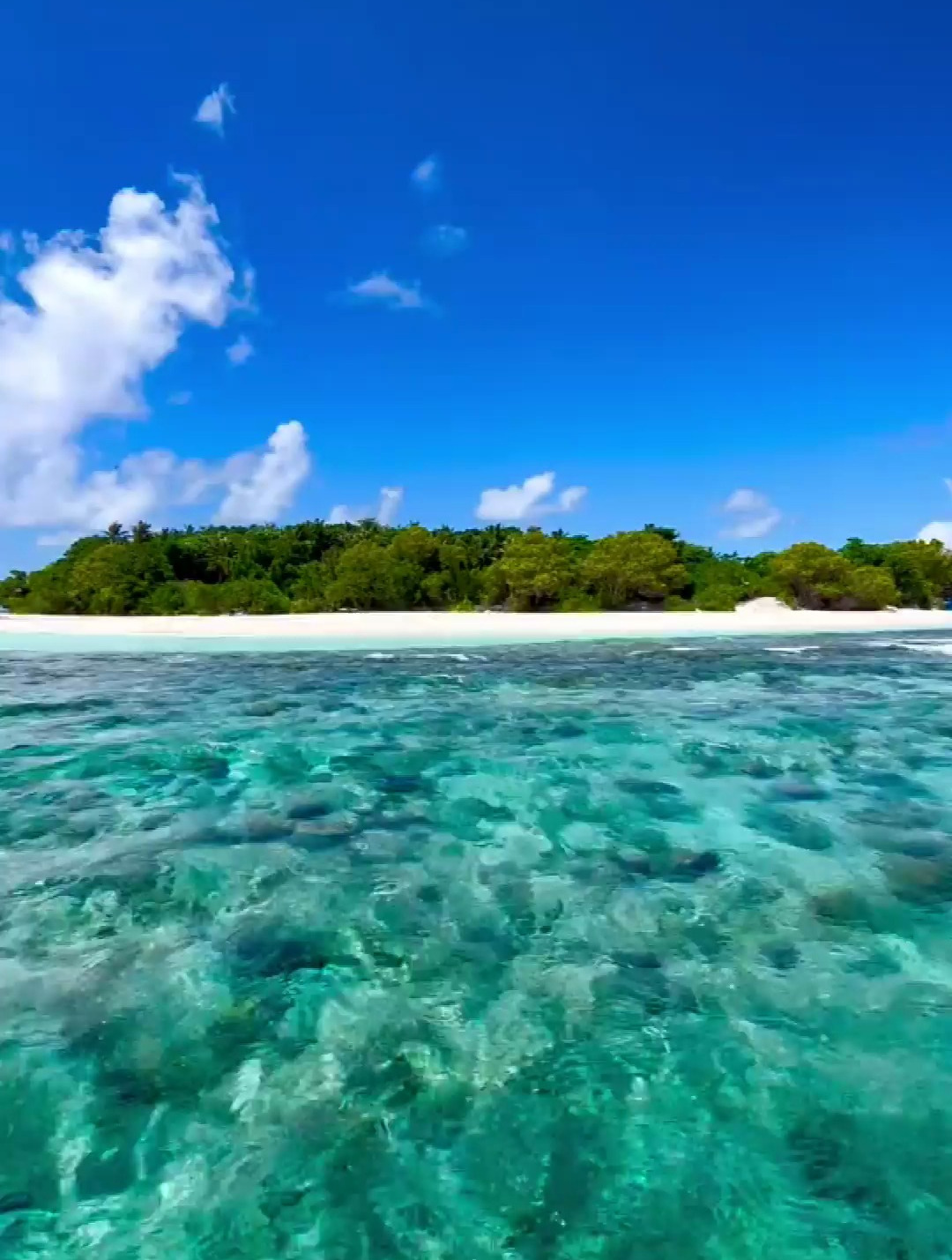 阳光明媚的海岛,完美的度假目的地,清澈的大海和干净的天空