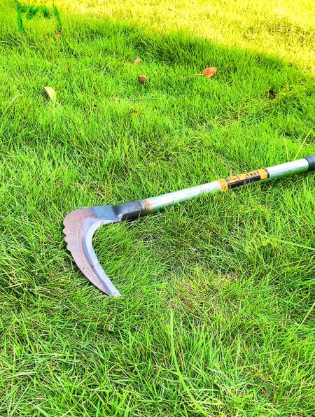 农用镰刀农具割草割庄稼木柄镰刀收割-度小视