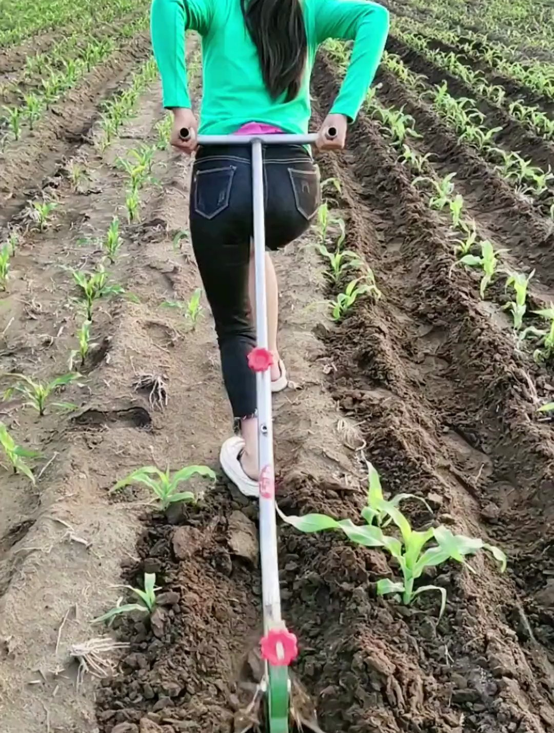 开沟器手拉犁,不用电不用油,轻轻一拉就出垄,农村生活