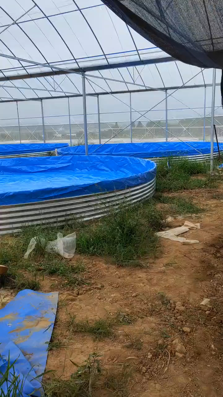 镀锌板帆布水池养殖育苗直径7米x1米高大棚养鱼