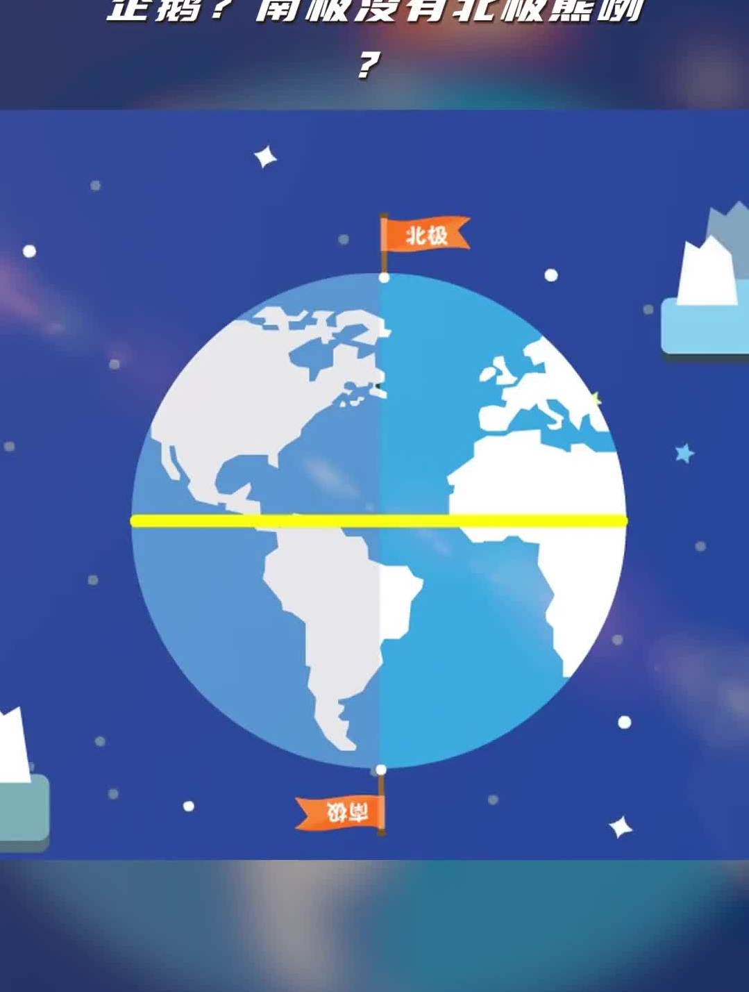 南极没有北极熊咧?