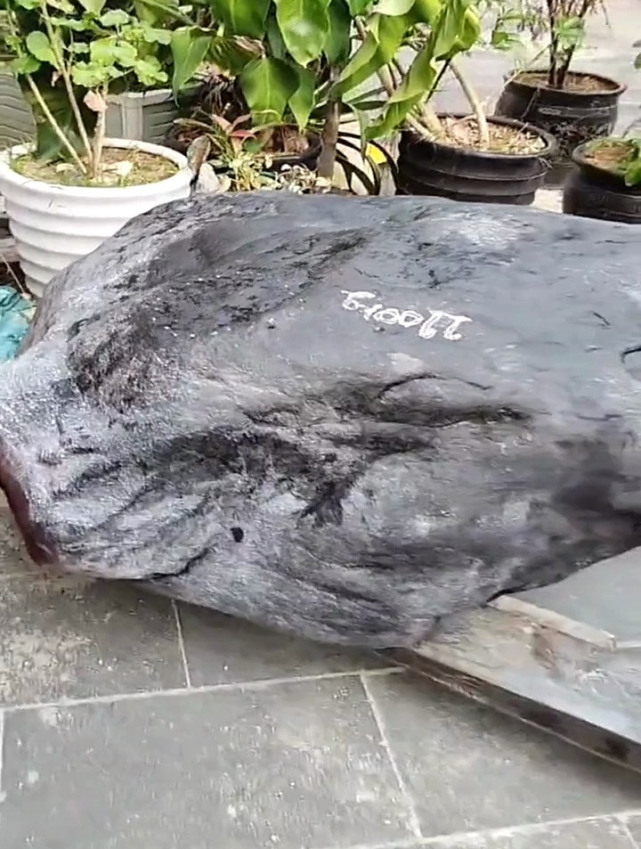 翡翠原石1100公斤黑皮大料色好种老