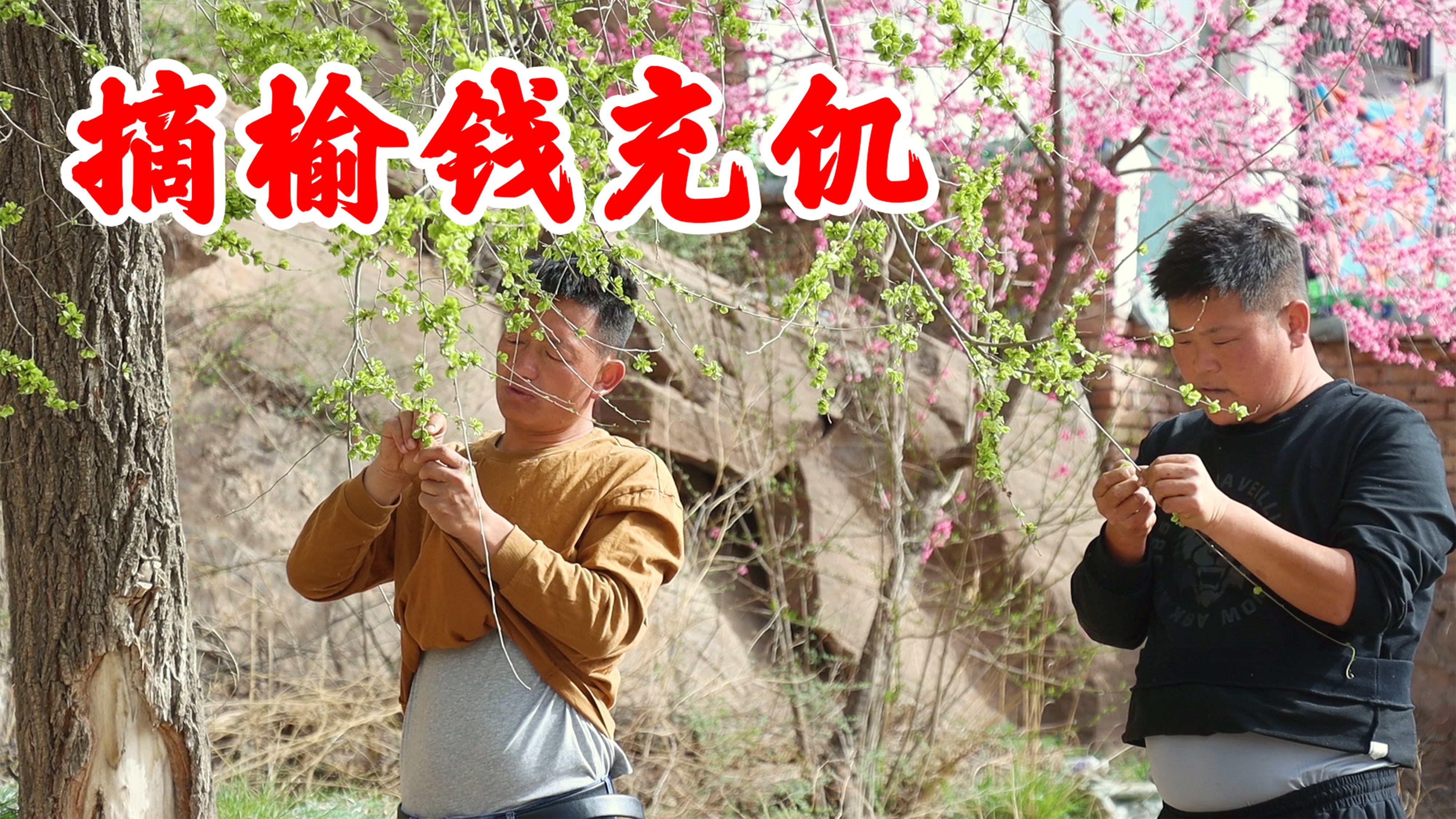 兄弟俩没饭吃,无奈拔榆钱充饥,蒸一锅拌上辣椒,又辣又糯太香了