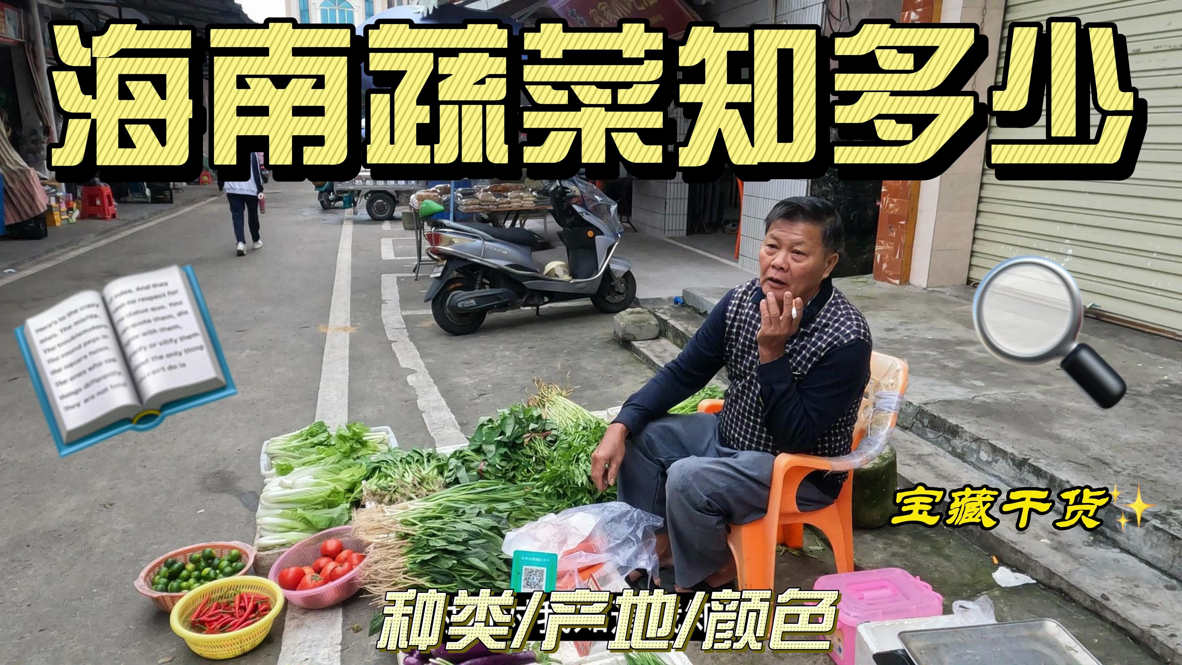 海南的蔬菜种类和内地不一样,很多蔬菜从来都没见过